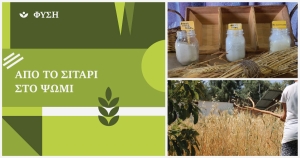 Από το σιτάρι στο ψωμί