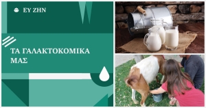 Τα γαλακτοκομικά μας